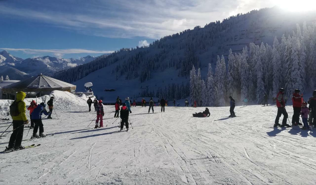 Apart Gerlossteinblick Aschau Im Zillertal Экстерьер фото